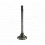 Fendt Farer ANDORIA MOT intake valve, packed in 4 pieces, visible price for 1 piece