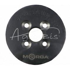 Anna MORGA deflector shaft disc